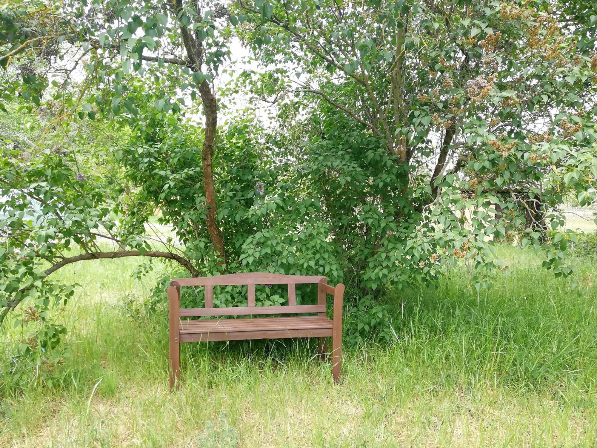 Ehemalige Bibliothek Apartment Fuer 2 Mit Kueche Kamin Netflix Parken Und Hofladen Steinhofel Екстериор снимка